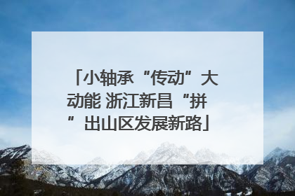 小轴承“传动”大动能 浙江新昌“拼”出山区发展新路