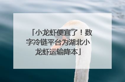 小龙虾便宜了！数字冷链平台为湖北小龙虾运输降本