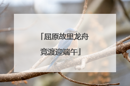 屈原故里龙舟竞渡迎端午