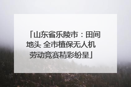山东省乐陵市：田间地头 全市植保无人机劳动竞赛精彩纷呈