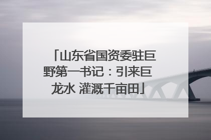 山东省国资委驻巨野第一书记：引来巨龙水 灌溉千亩田