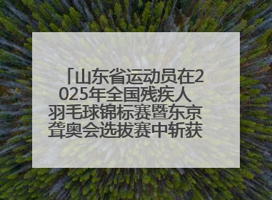 山东省运动员在2025年全国残疾人羽毛球锦标赛暨东京聋奥会选拔赛中斩获3银1铜