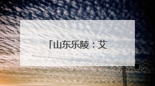 山东乐陵：艾草飘香销售忙