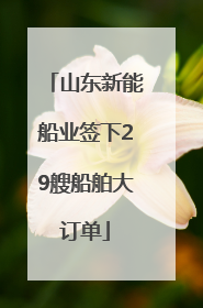 山东新能船业签下29艘船舶大订单
