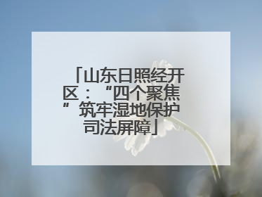 山东日照经开区：“四个聚焦”筑牢湿地保护司法屏障