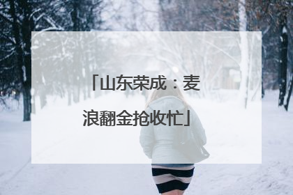 山东荣成：麦浪翻金抢收忙