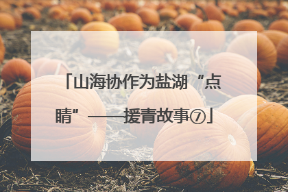山海协作为盐湖“点睛”——援青故事⑦