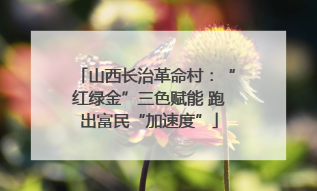 山西长治革命村：“红绿金”三色赋能 跑出富民“加速度”