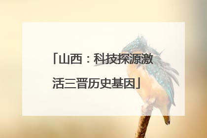 山西：科技探源激活三晋历史基因