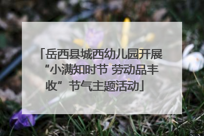 岳西县城西幼儿园开展“小满知时节 劳动品丰收”节气主题活动