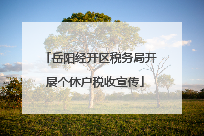 岳阳经开区税务局开展个体户税收宣传