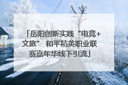 岳阳创新实践“电竞+文旅” 和平精英职业联赛嘉年华线下引流