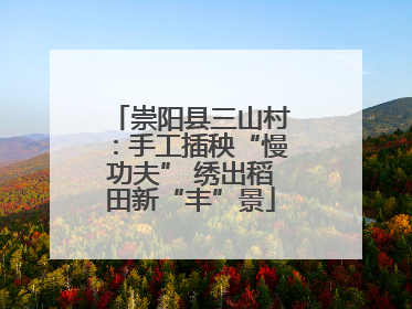 崇阳县三山村：手工插秧“慢功夫” 绣出稻田新“丰”景