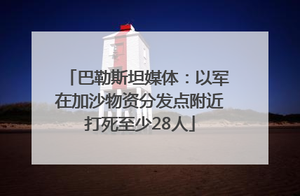 巴勒斯坦媒体：以军在加沙物资分发点附近打死至少28人
