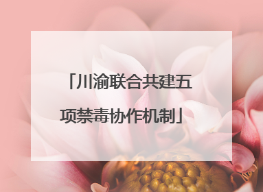 川渝联合共建五项禁毒协作机制