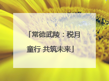 常德武陵：税月童行 共筑未来