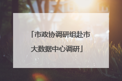 市政协调研组赴市大数据中心调研