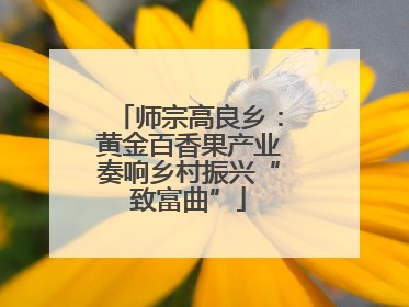 师宗高良乡：黄金百香果产业奏响乡村振兴“致富曲”