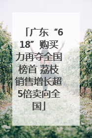 广东“618”购买力再夺全国榜首 荔枝销售增长超5倍卖向全国