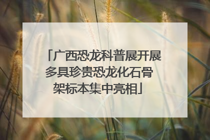 广西恐龙科普展开展 多具珍贵恐龙化石骨架标本集中亮相