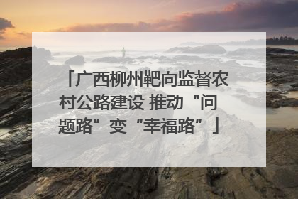 广西柳州靶向监督农村公路建设 推动“问题路”变“幸福路”