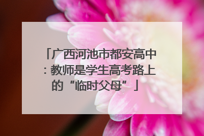 广西河池市都安高中：教师是学生高考路上的“临时父母”