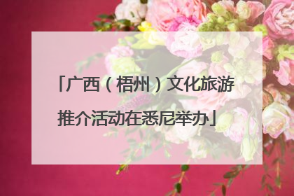 广西（梧州）文化旅游推介活动在悉尼举办