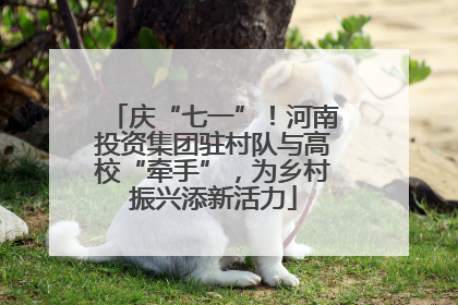 庆“七一”！河南投资集团驻村队与高校“牵手”，为乡村振兴添新活力