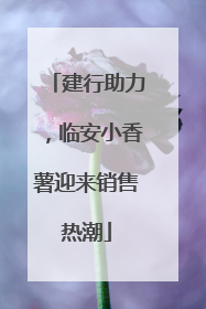 建行助力，临安小香薯迎来销售热潮
