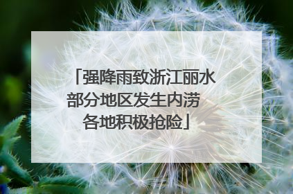 强降雨致浙江丽水部分地区发生内涝 各地积极抢险