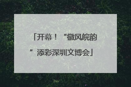 开幕！“徽风皖韵”添彩深圳文博会