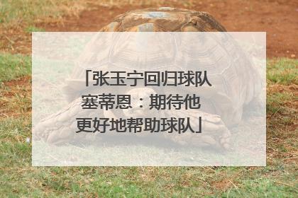 张玉宁回归球队 塞蒂恩：期待他更好地帮助球队