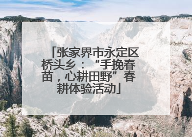 张家界市永定区桥头乡：“手挽春苗，心耕田野”春耕体验活动