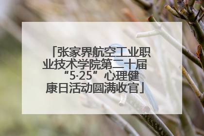 张家界航空工业职业技术学院第二十届“5·25”心理健康日活动圆满收官