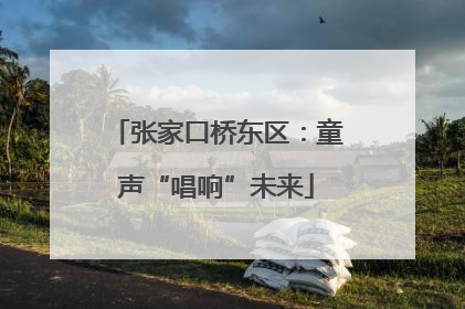 张家口桥东区：童声“唱响”未来