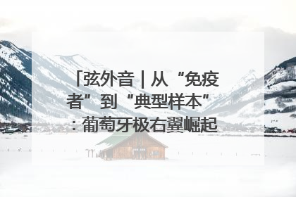 弦外音｜从“免疫者”到“典型样本”：葡萄牙极右翼崛起背后的欧洲困局