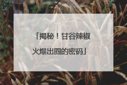 揭秘！甘谷辣椒火爆出圈的密码