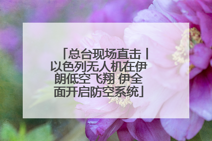 总台现场直击丨以色列无人机在伊朗低空飞翔 伊全面开启防空系统