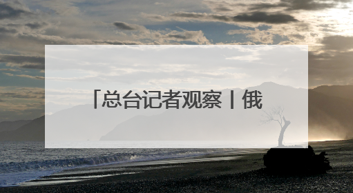 总台记者观察丨俄乌缺乏互信 在备忘录问题上各执一词
