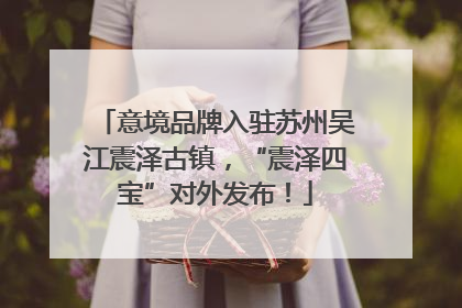 意境品牌入驻苏州吴江震泽古镇，“震泽四宝”对外发布！