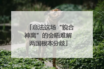 意法这场“貌合神离”的会晤难解两国根本分歧