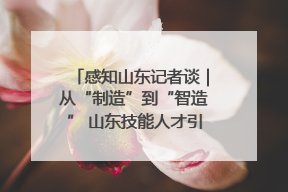 感知山东记者谈｜从“制造”到“智造” 山东技能人才引领产业升级