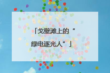 戈壁滩上的“绿电逐光人”