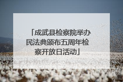 成武县检察院举办民法典颁布五周年检察开放日活动