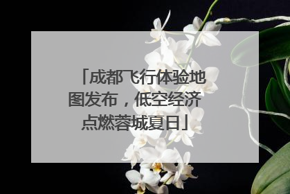 成都飞行体验地图发布，低空经济点燃蓉城夏日