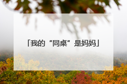 我的“同桌”是妈妈