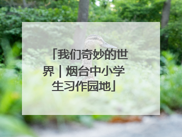 我们奇妙的世界｜烟台中小学生习作园地