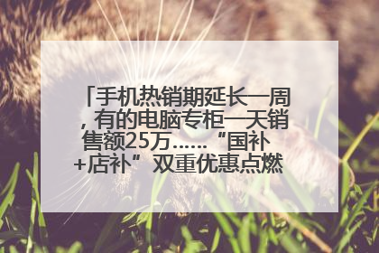 手机热销期延长一周，有的电脑专柜一天销售额25万……“国补+店补”双重优惠点燃德州“考后经济”