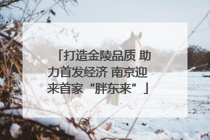 打造金陵品质 助力首发经济 南京迎来首家“胖东来”