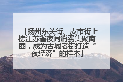 扬州东关街、皮市街上榜江苏省夜间消费集聚商圈，成为古城老街打造“夜经济”的样本